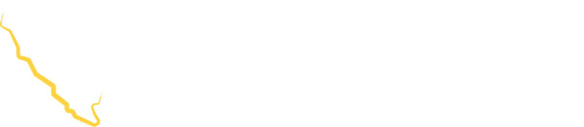 Selektor